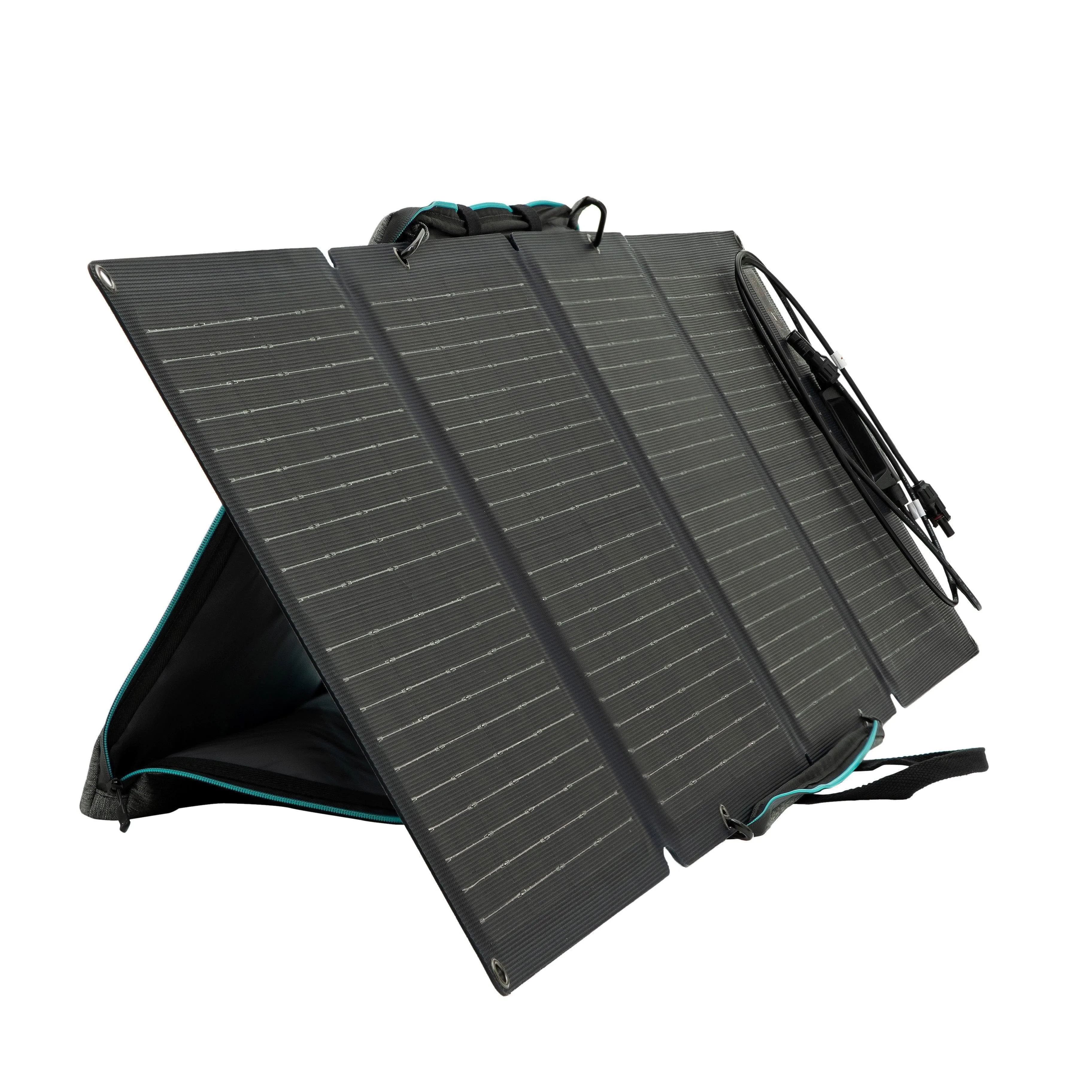 EcoFlow 110W Solar Panel (Recommended Accessory)