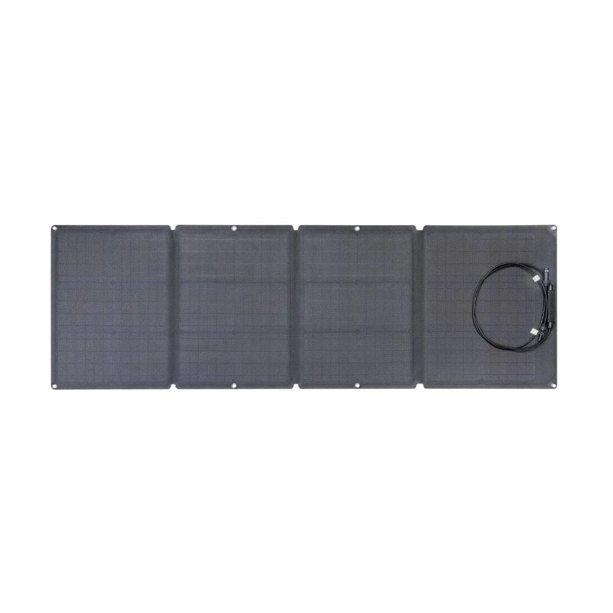 EcoFlow 110W Solar Panel (Recommended Accessory)